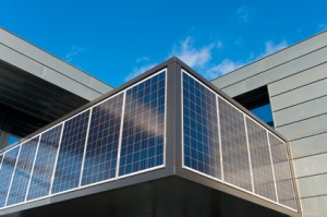 solar power plant with grazing sheep